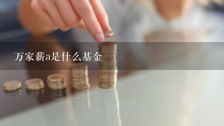 万家薪a是什么基金