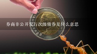 券商非公开发行次级债券是什么意思