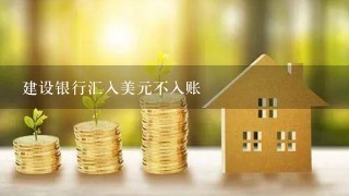 建设银行汇入美元不入账