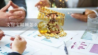 支付宝限额怎么回事