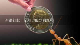 买银行股1个月了能分到红吗