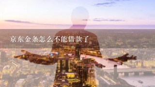 京东金条怎么不能借款了