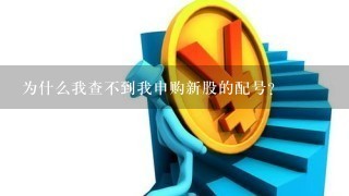 为什么我查不到我申购新股的配号？