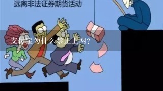 支付宝为什么禁止上网?