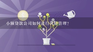 小额贷款公司如何进行风险管理?